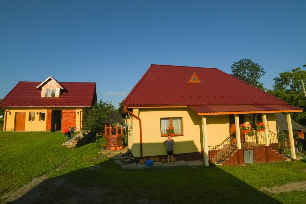 Pensiunea Agroturistica Casa Pribegilor Breb Exterior photo